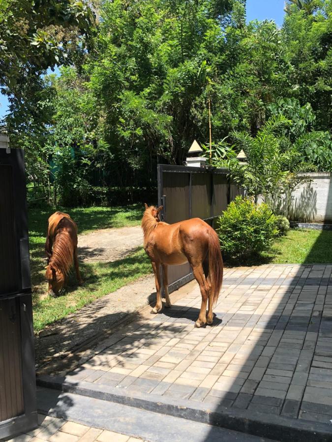 Lanka Villa מיריסה מראה חיצוני תמונה