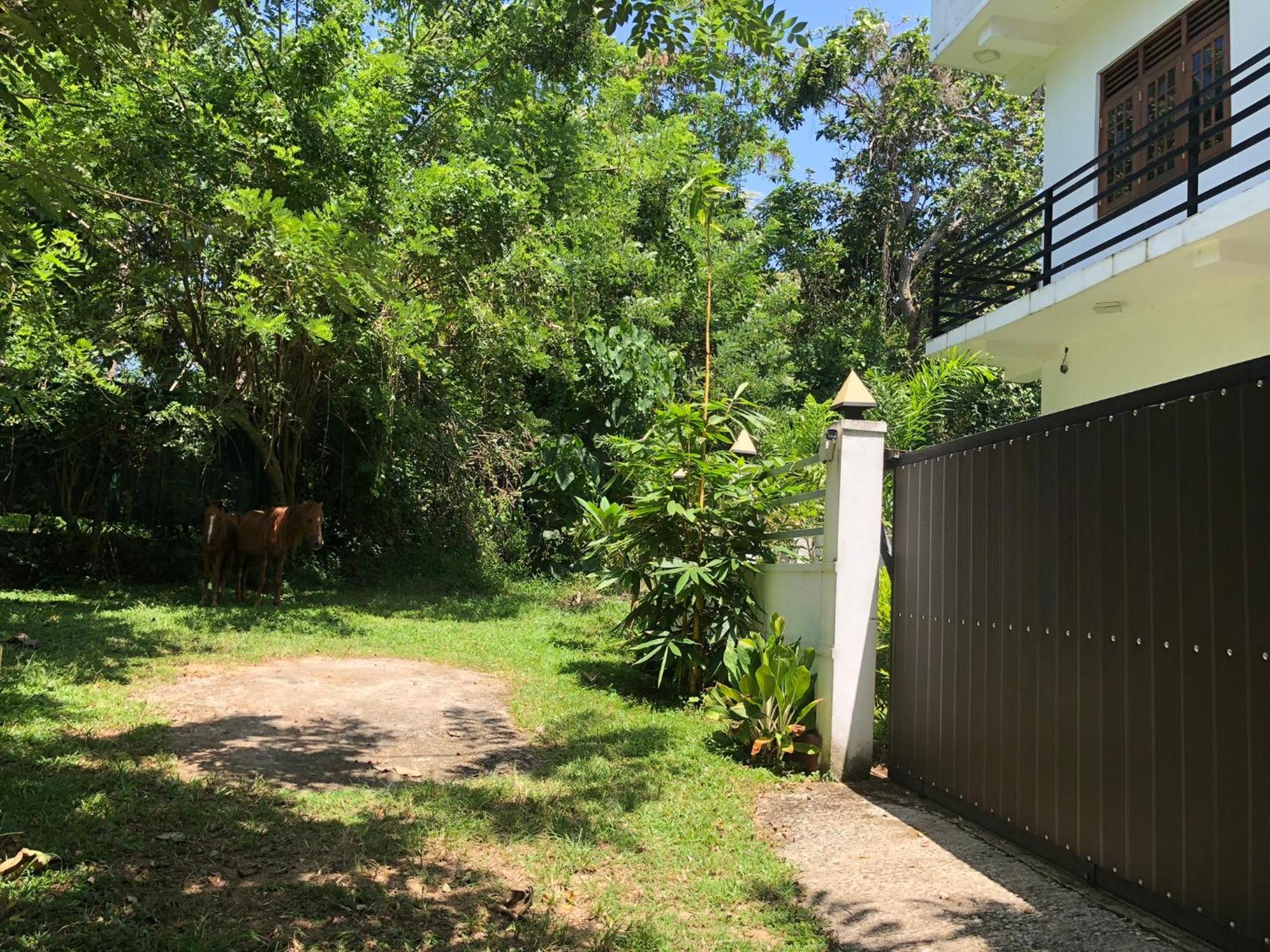 Lanka Villa מיריסה מראה חיצוני תמונה